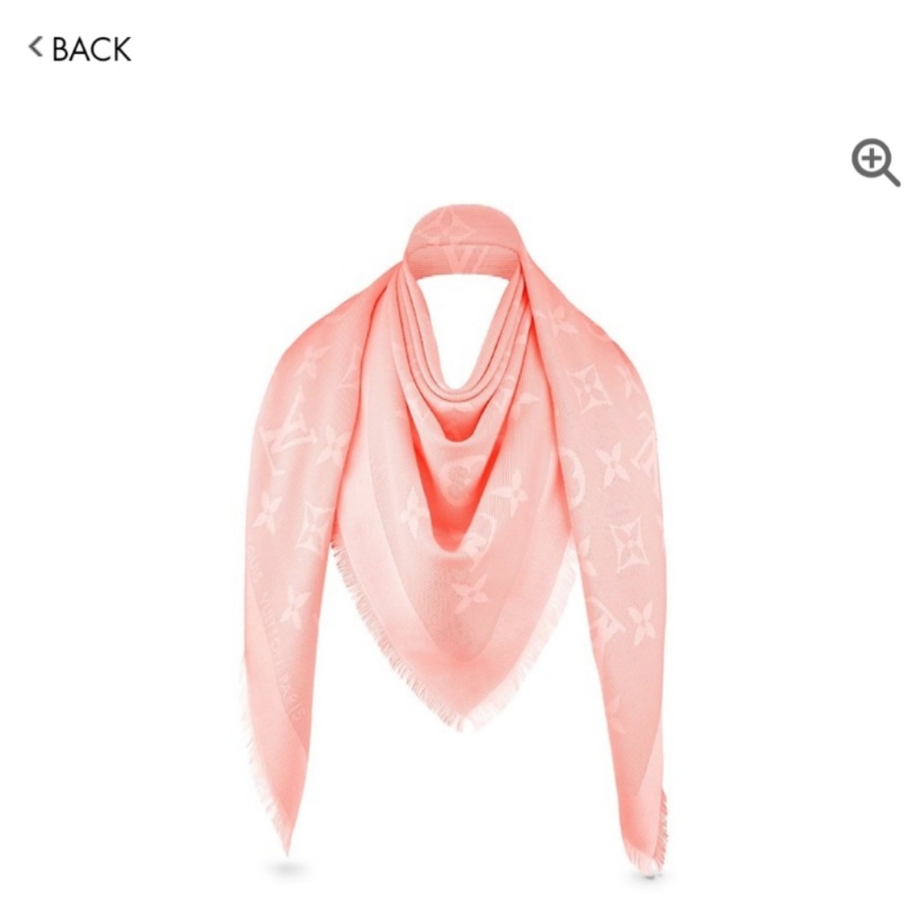 NWOT Louis Vuitton Beyond Monogram Shawl